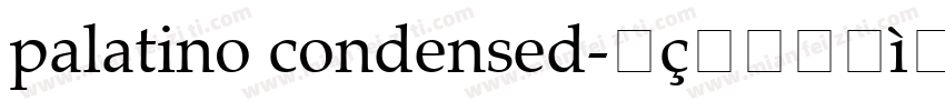 palatino condensed字体转换